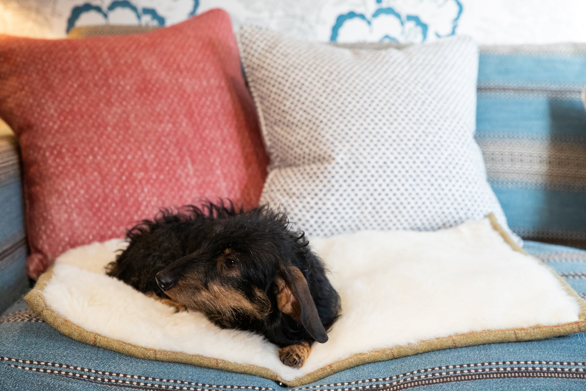 Tweed Dog Roll Mat