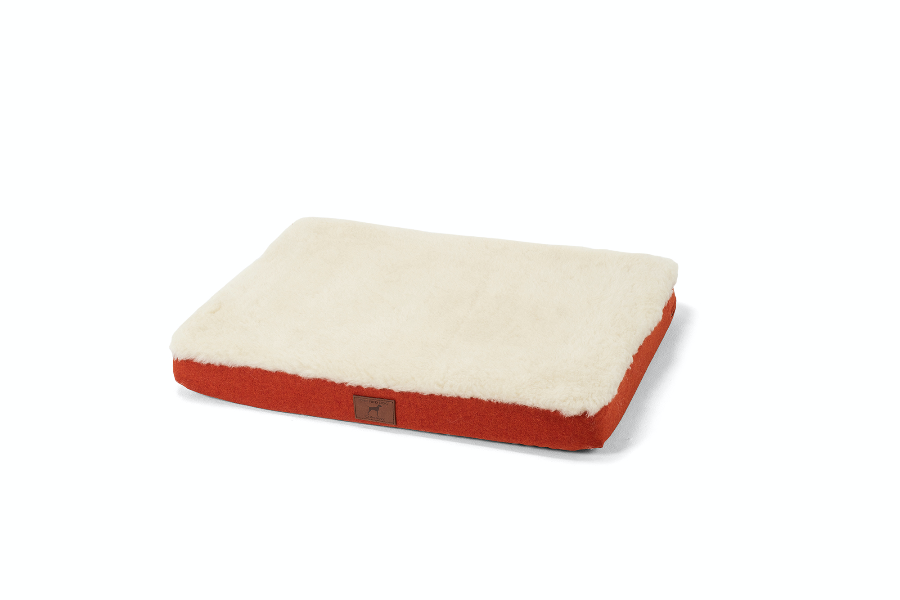 Fire Orange Dog Mat