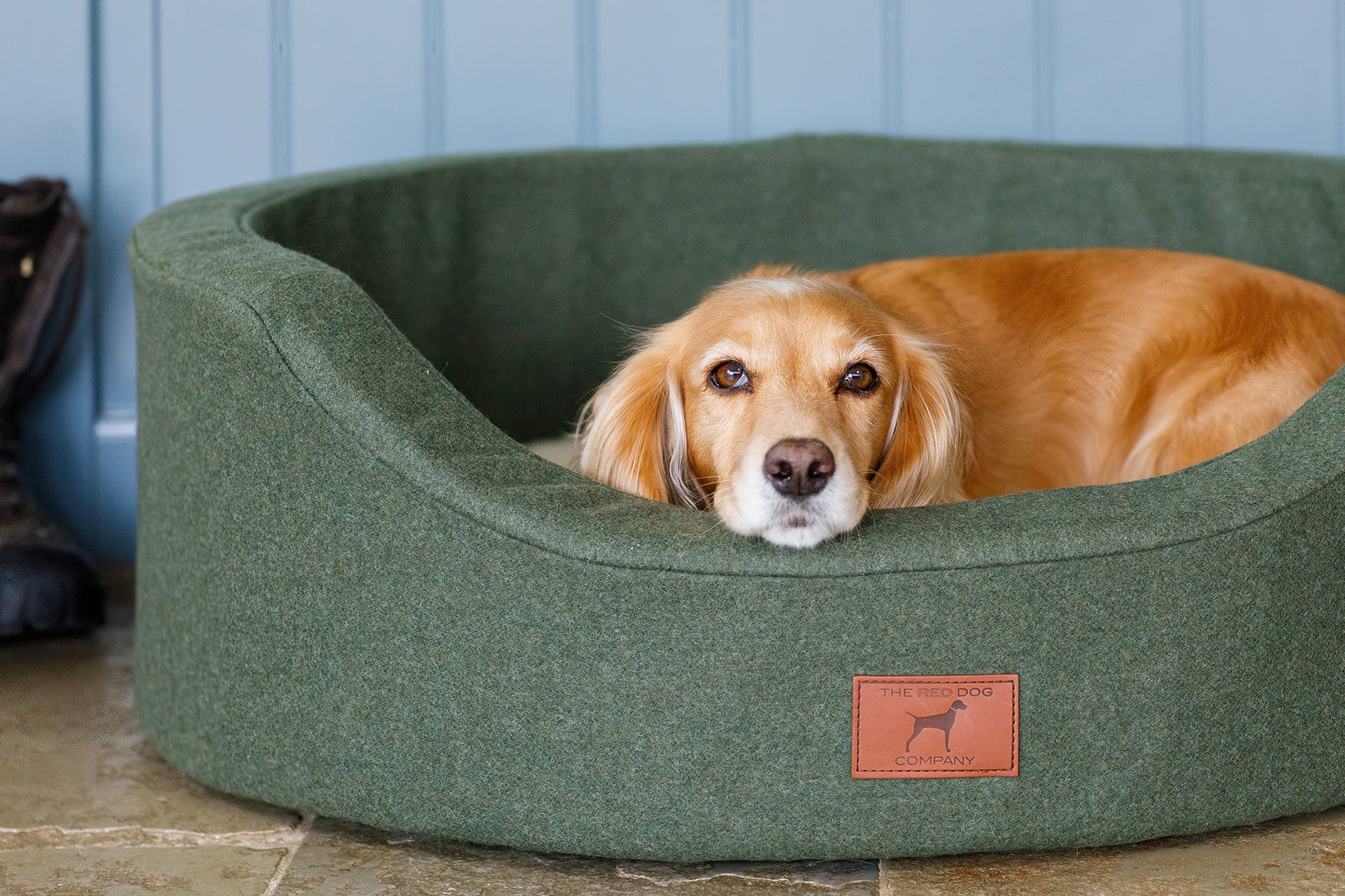 Willow Green Oval Dog Bed