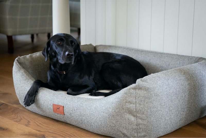 Slate Grey Classic Dog Bed