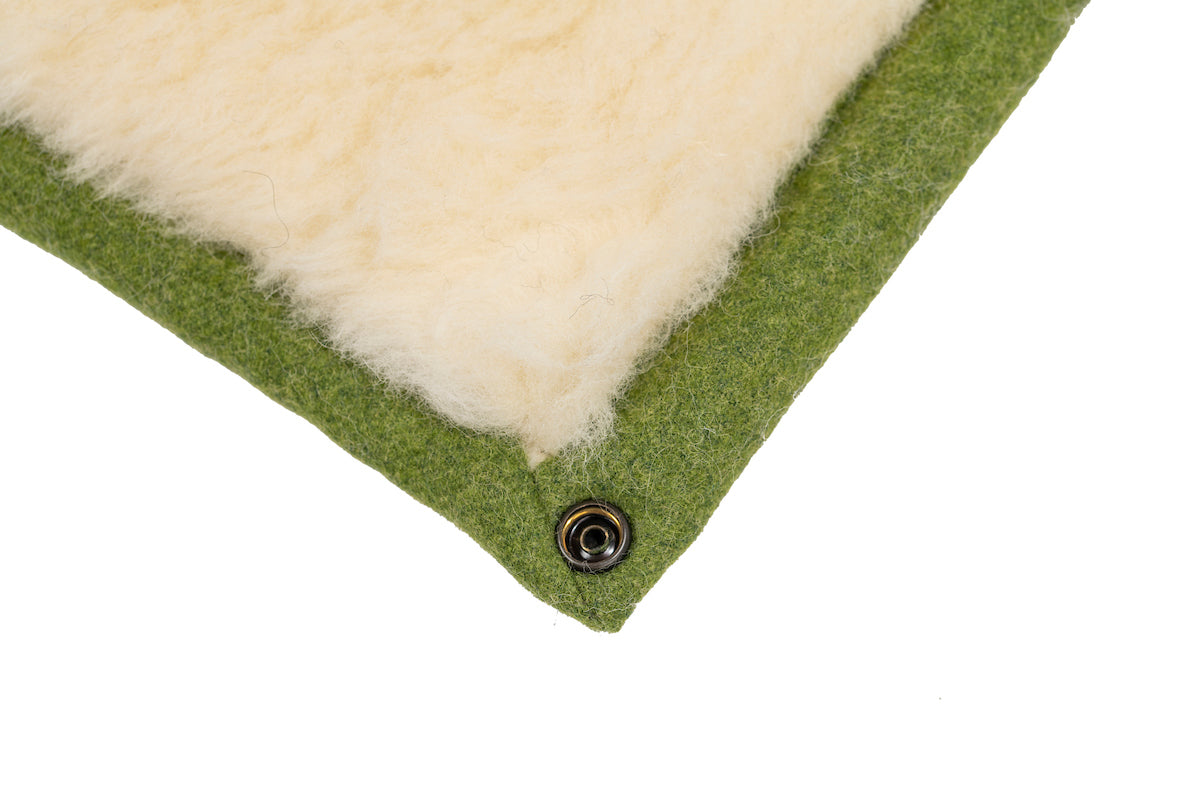 Apple Green Dog Roll Mat