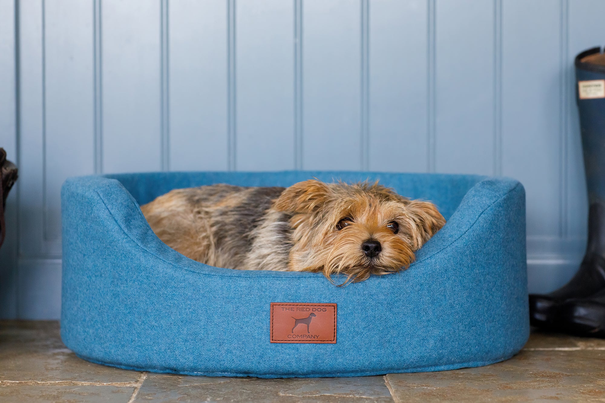 Cerulean Blue Oval Dog Bed