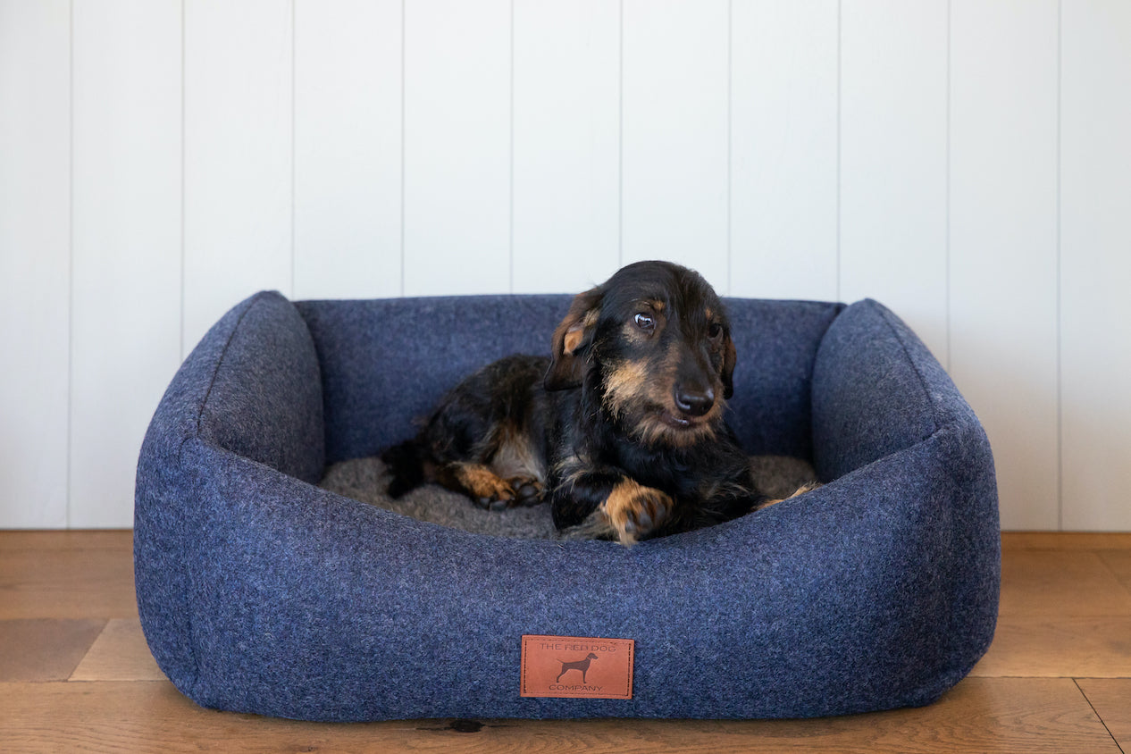 Cobalt Blue Classic Dog Bed