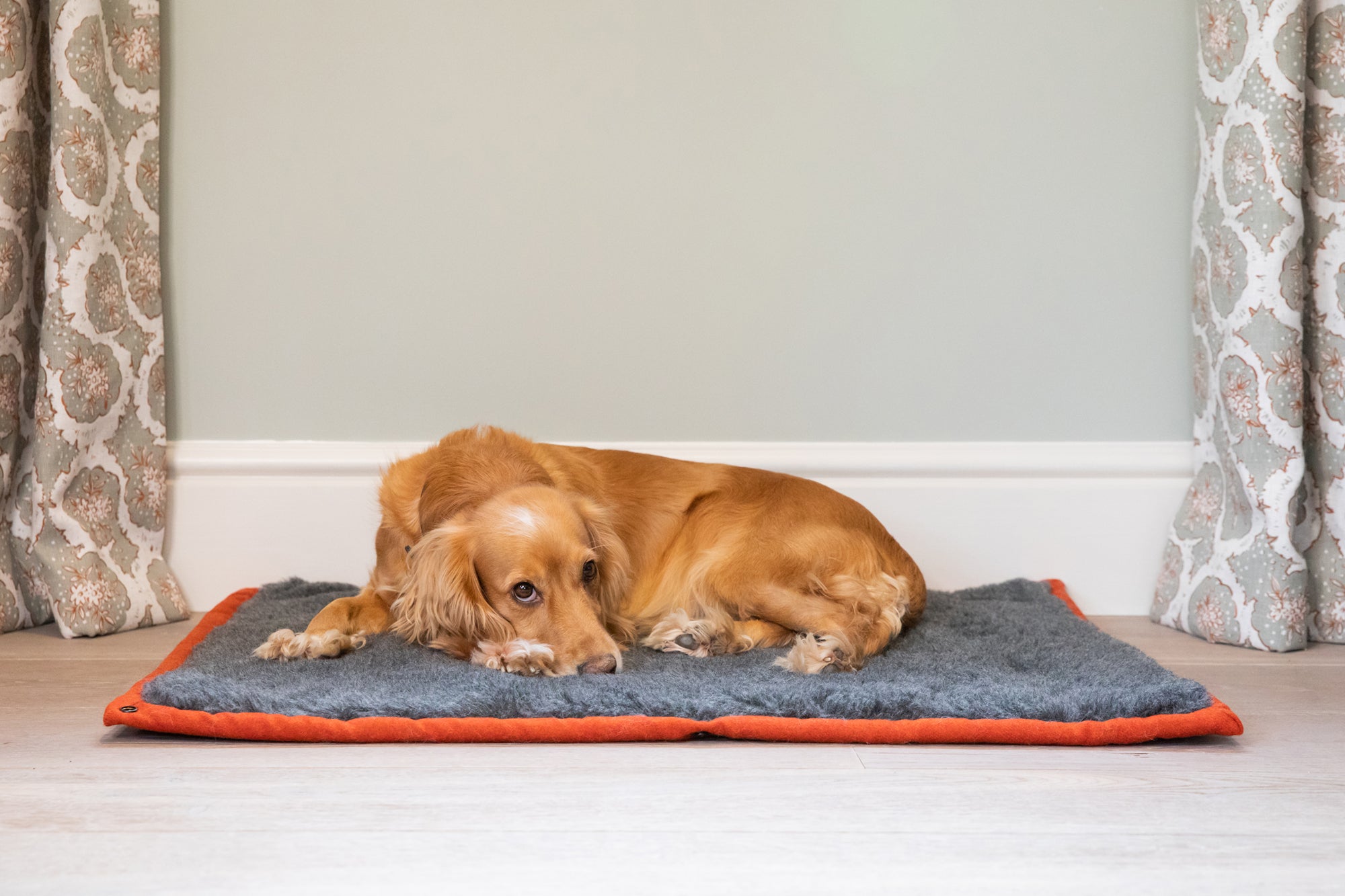 Fire Orange Dog Roll Mat
