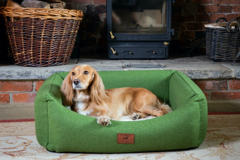 Apple Green Classic Dog Bed