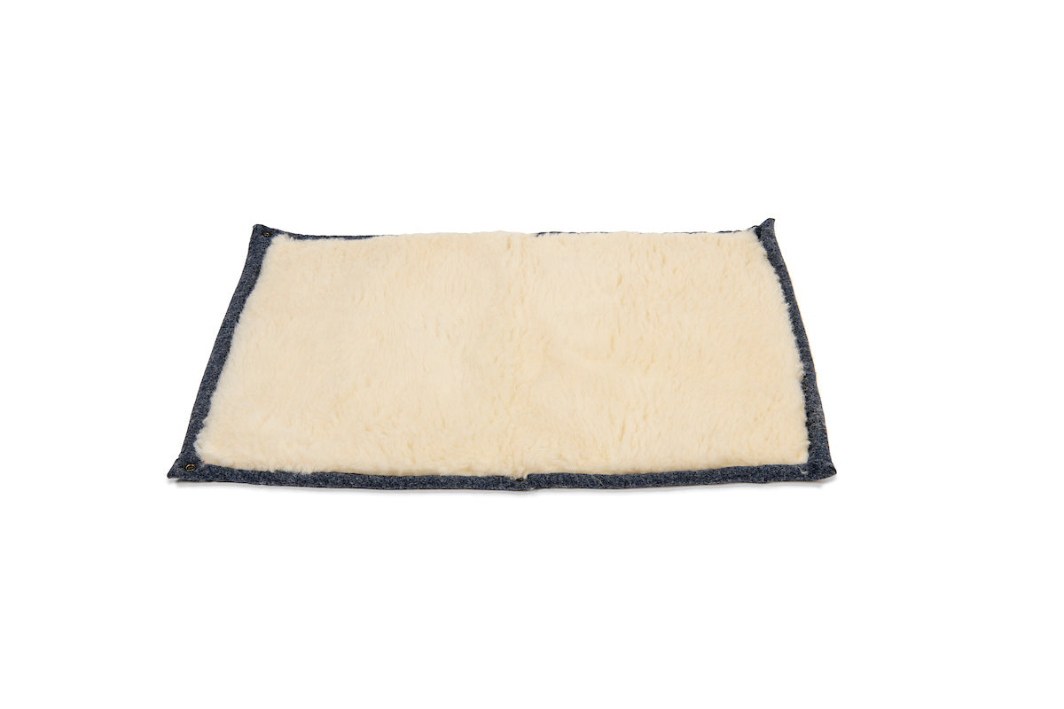 Cobalt Blue Dog Roll Mat