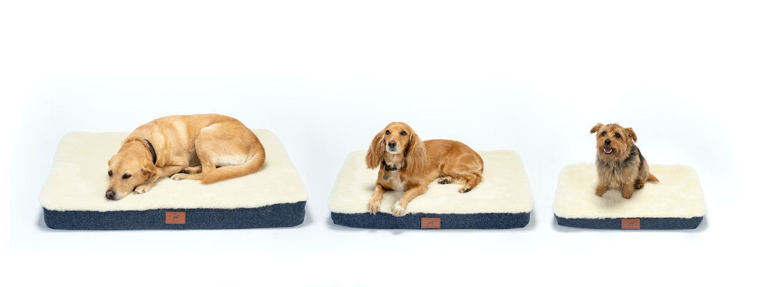 Cobalt Blue Dog Mat