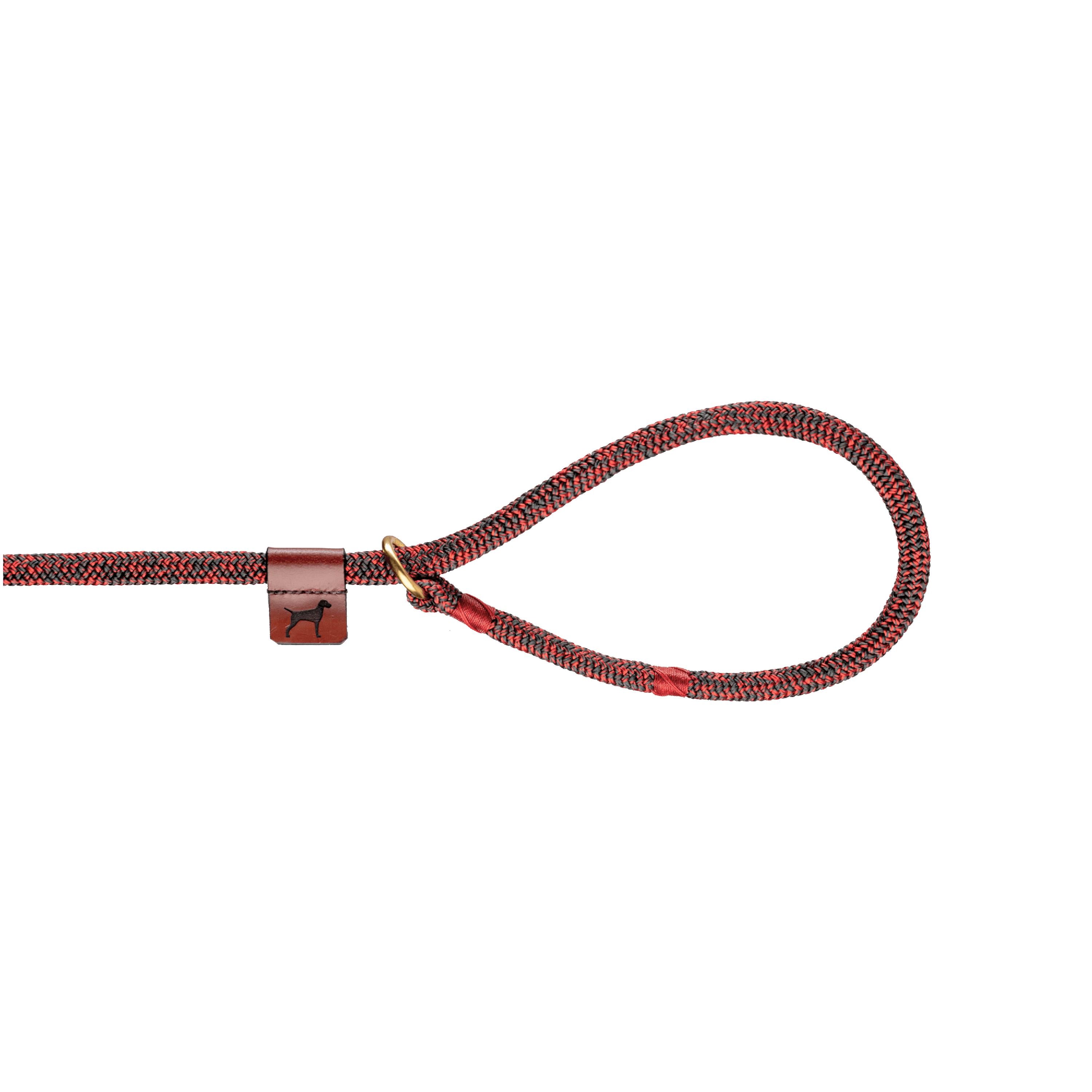 Best hot sale slip leash