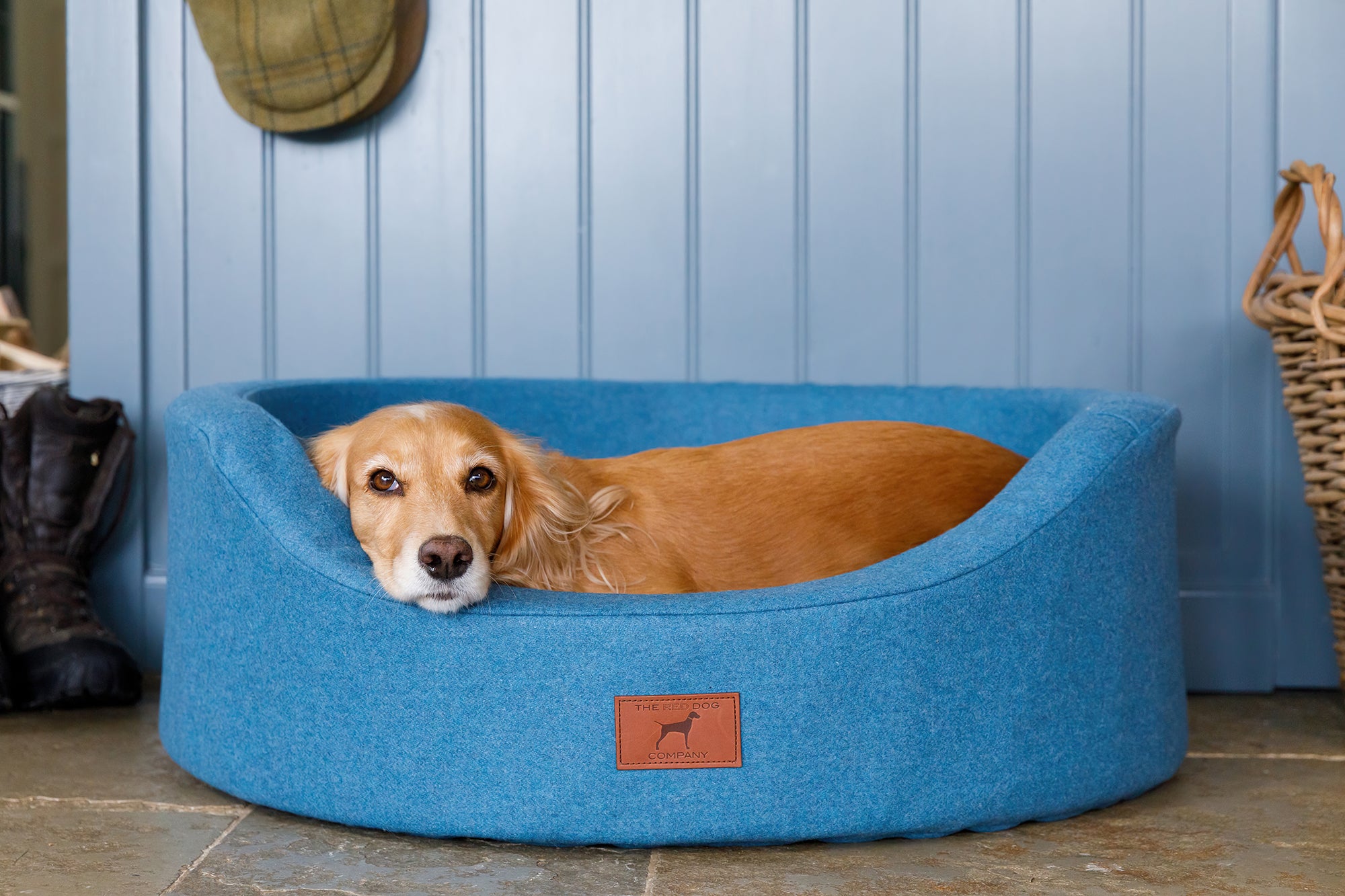 Cerulean Blue Oval Dog Bed