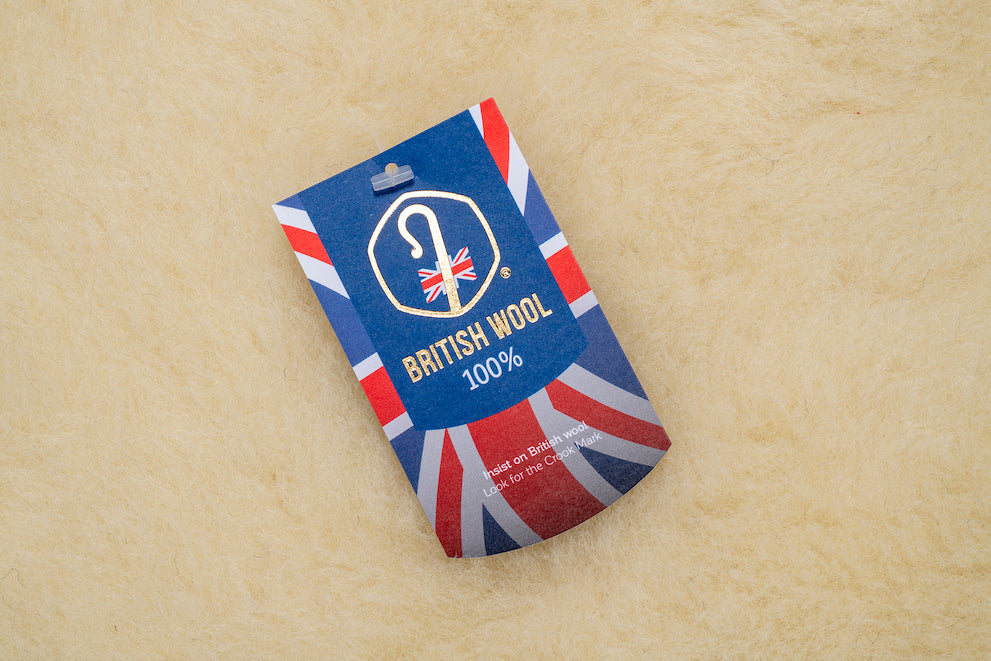 Apple Green Dog Mat