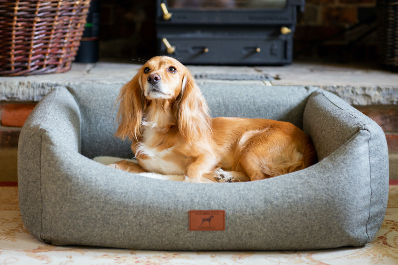 Slate Grey Classic Dog Bed