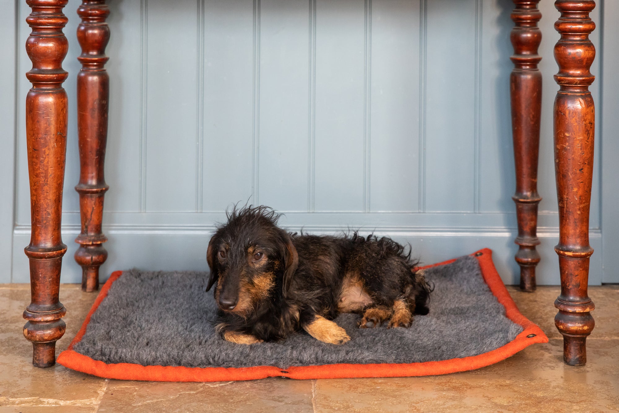Fire Orange Dog Roll Mat