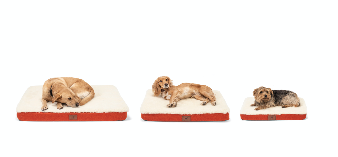 Fire Orange Dog Mat