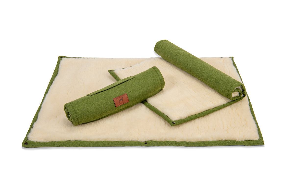 Apple Green Dog Roll Mat