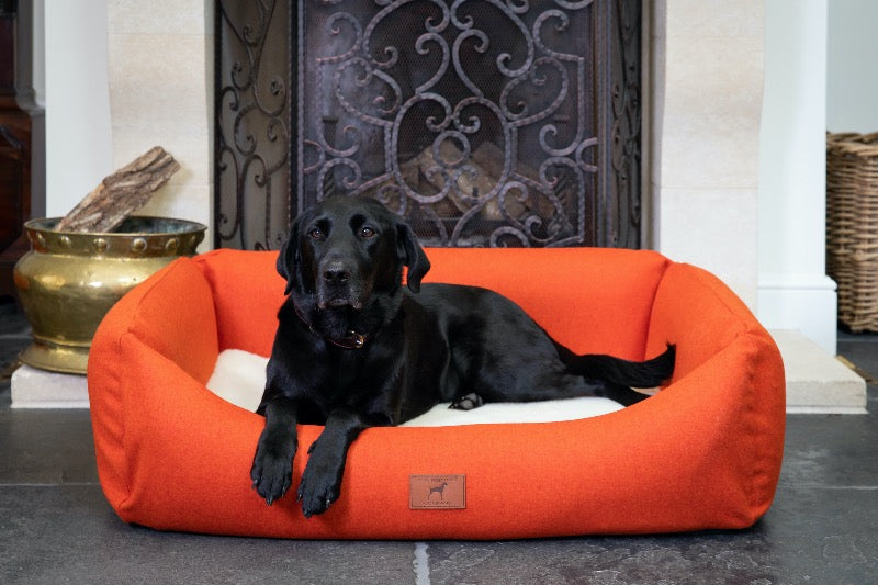 Fire Orange Classic Dog Bed
