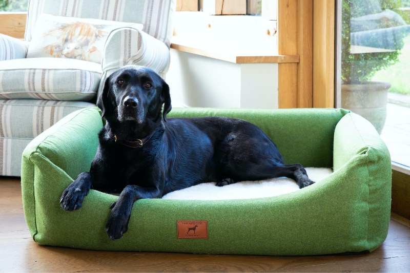 Apple Green Classic Dog Bed