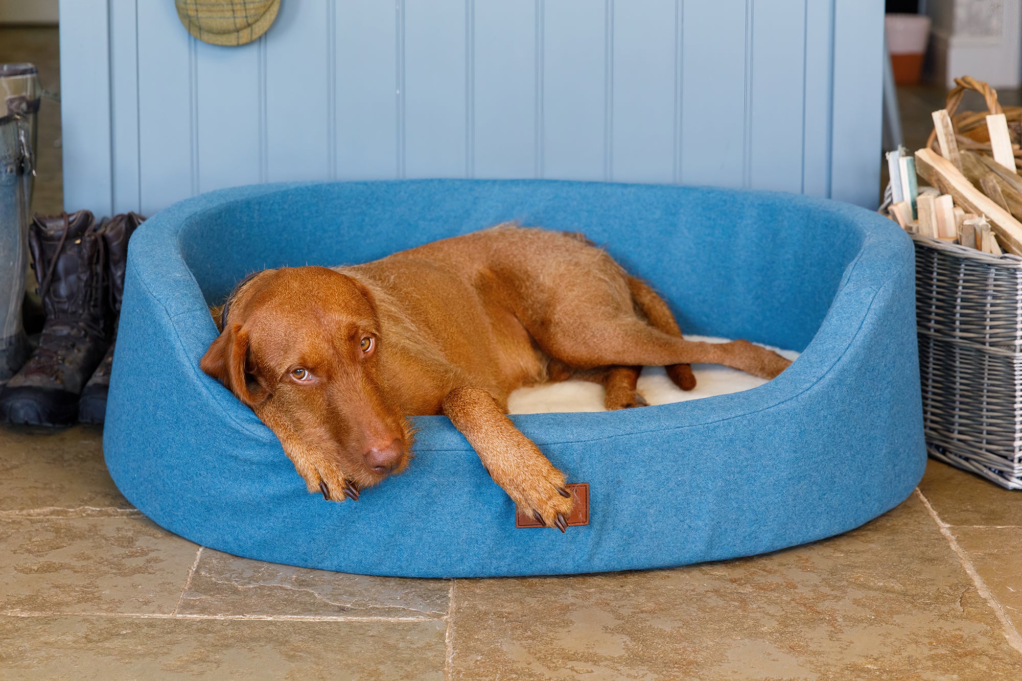 Cerulean Blue Oval Dog Bed
