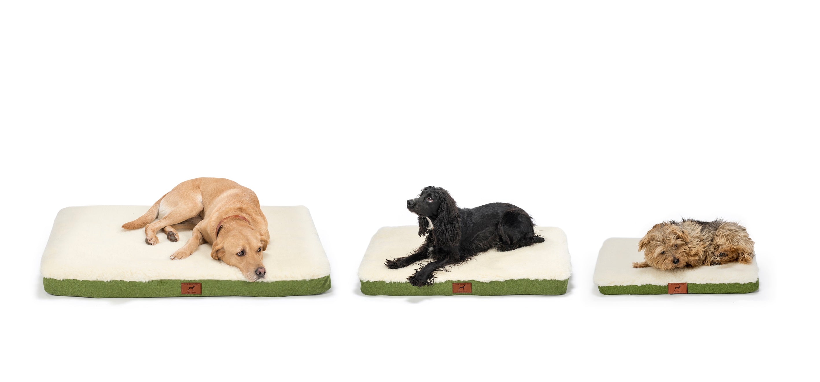 Apple Green Dog Mat