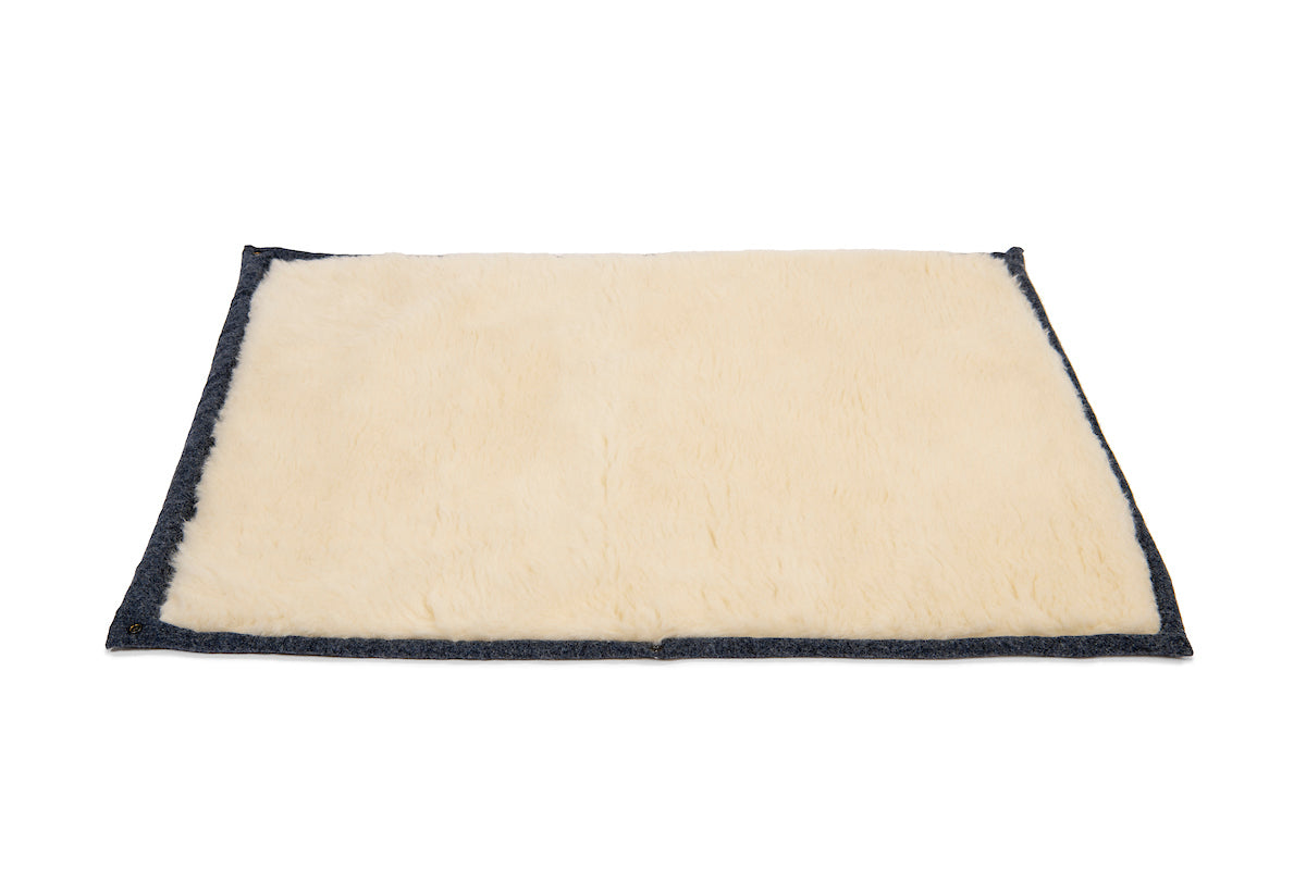 Cobalt Blue Dog Roll Mat