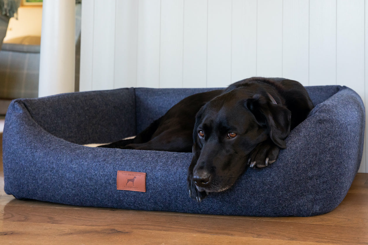 Cobalt Blue Classic Dog Bed