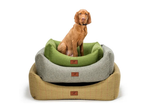 Our guide to choosing a dog bed