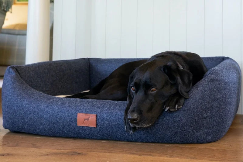 Dog Beds for Labradors
