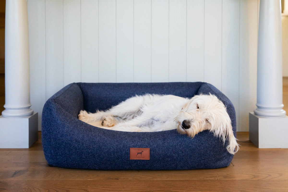 Best orthopedic dog bed uk sale