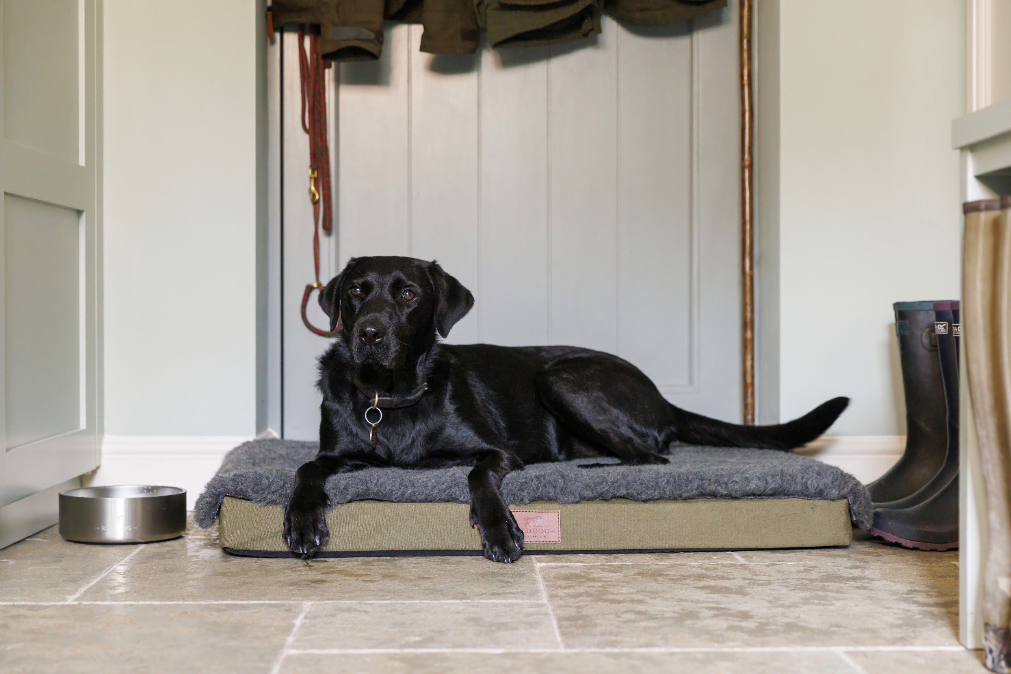 Working Dog Mat