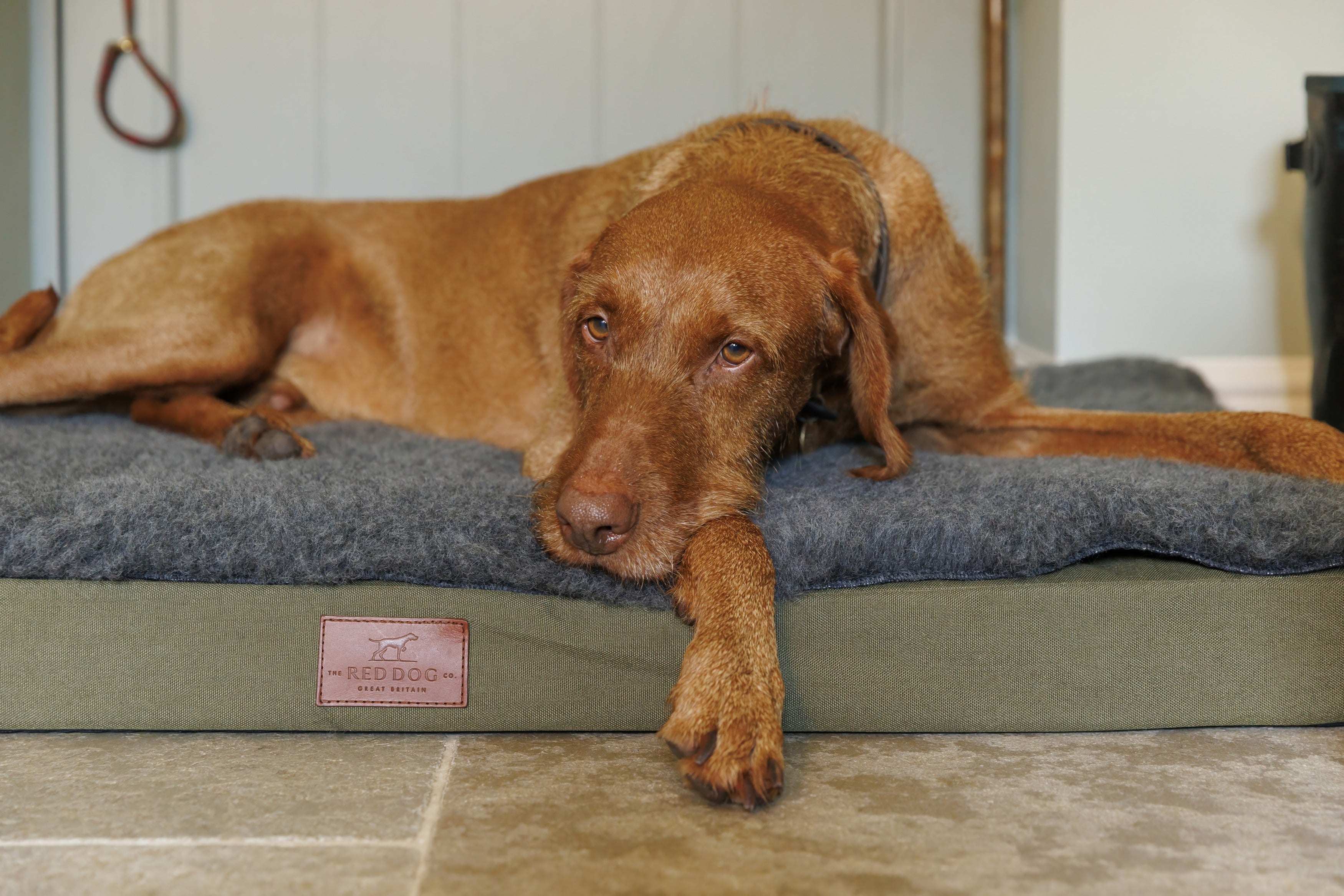 Working Dog Mat