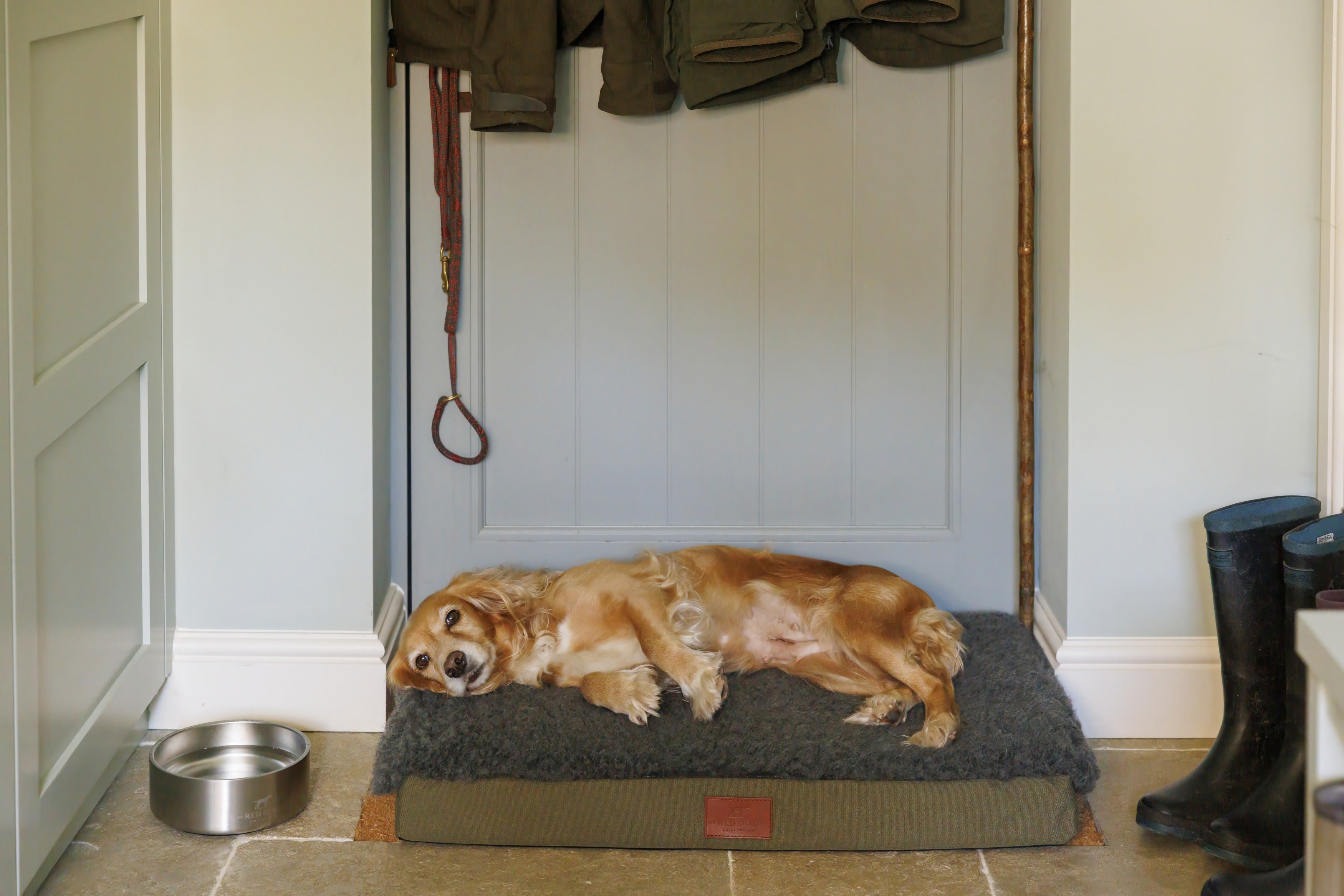 Working Dog Mat