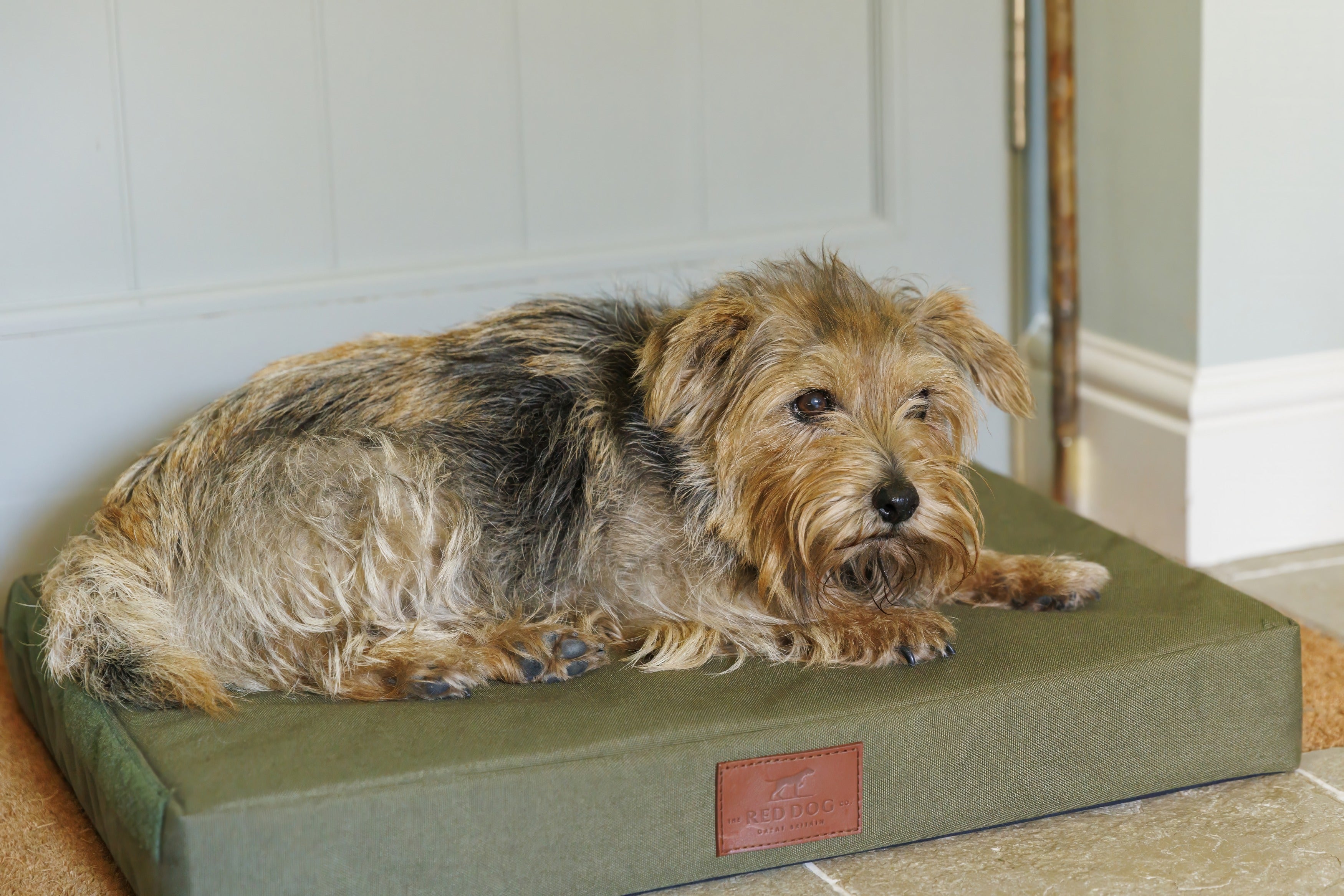 Working Dog Mat