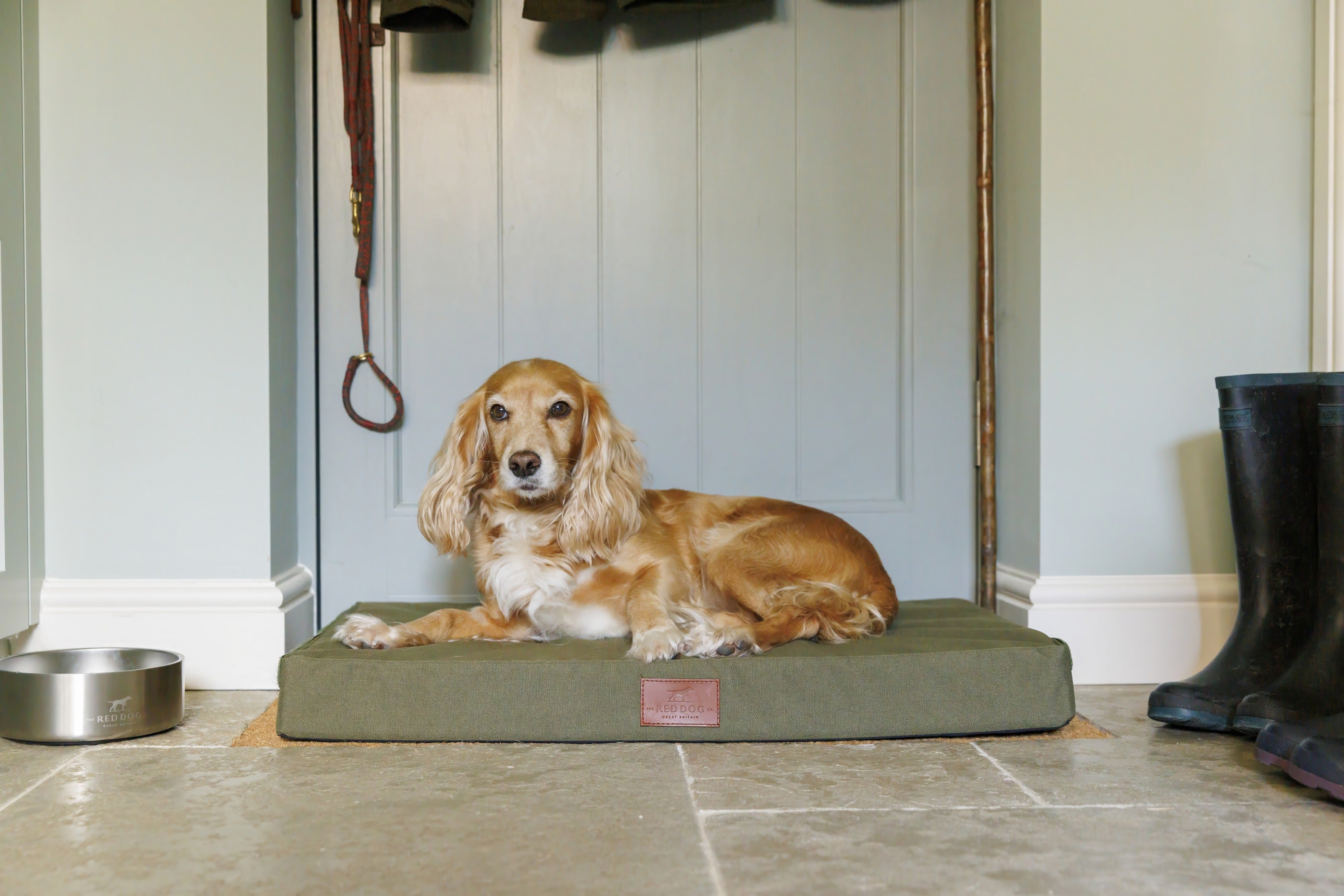 Working Dog Mat
