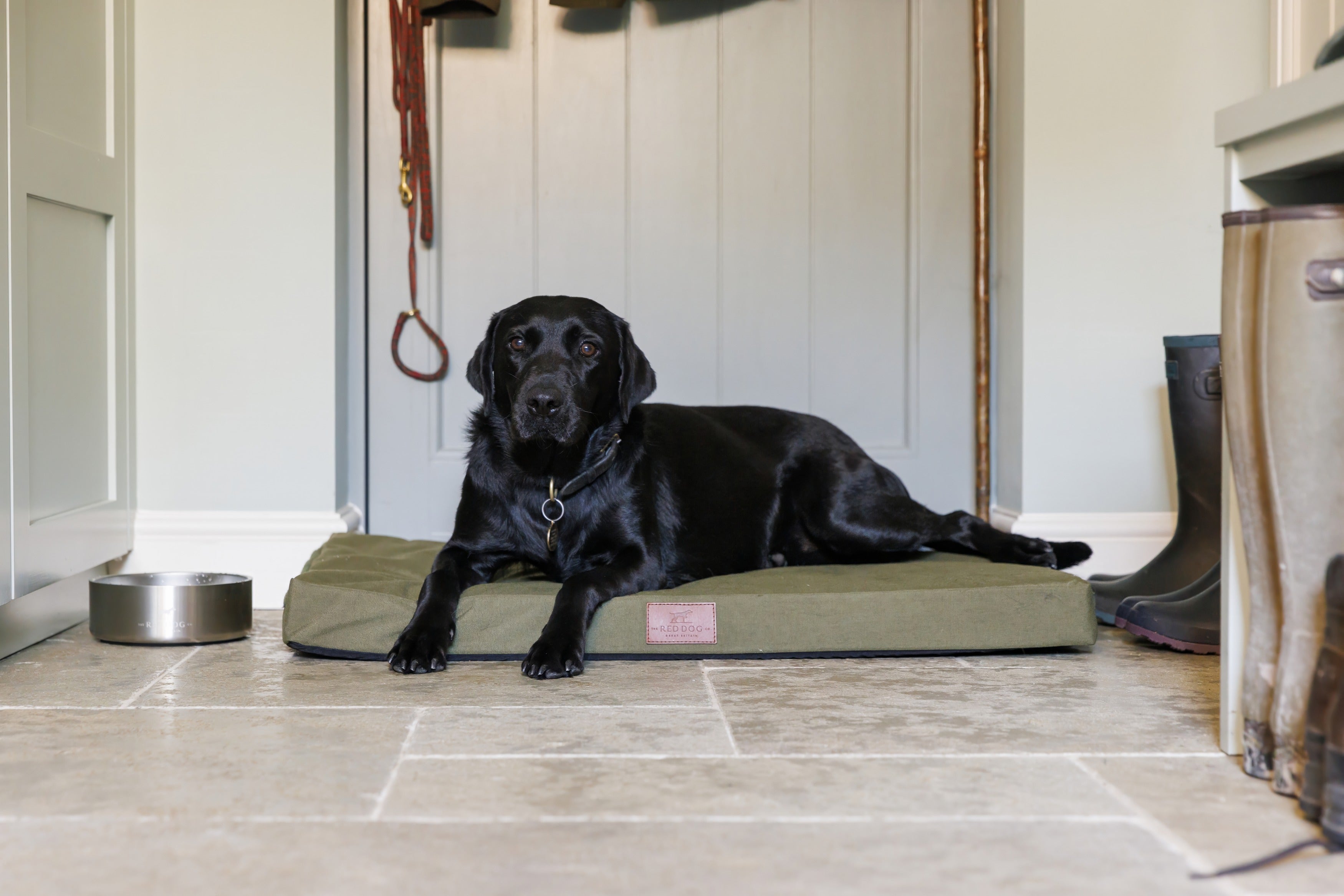 Working Dog Mat