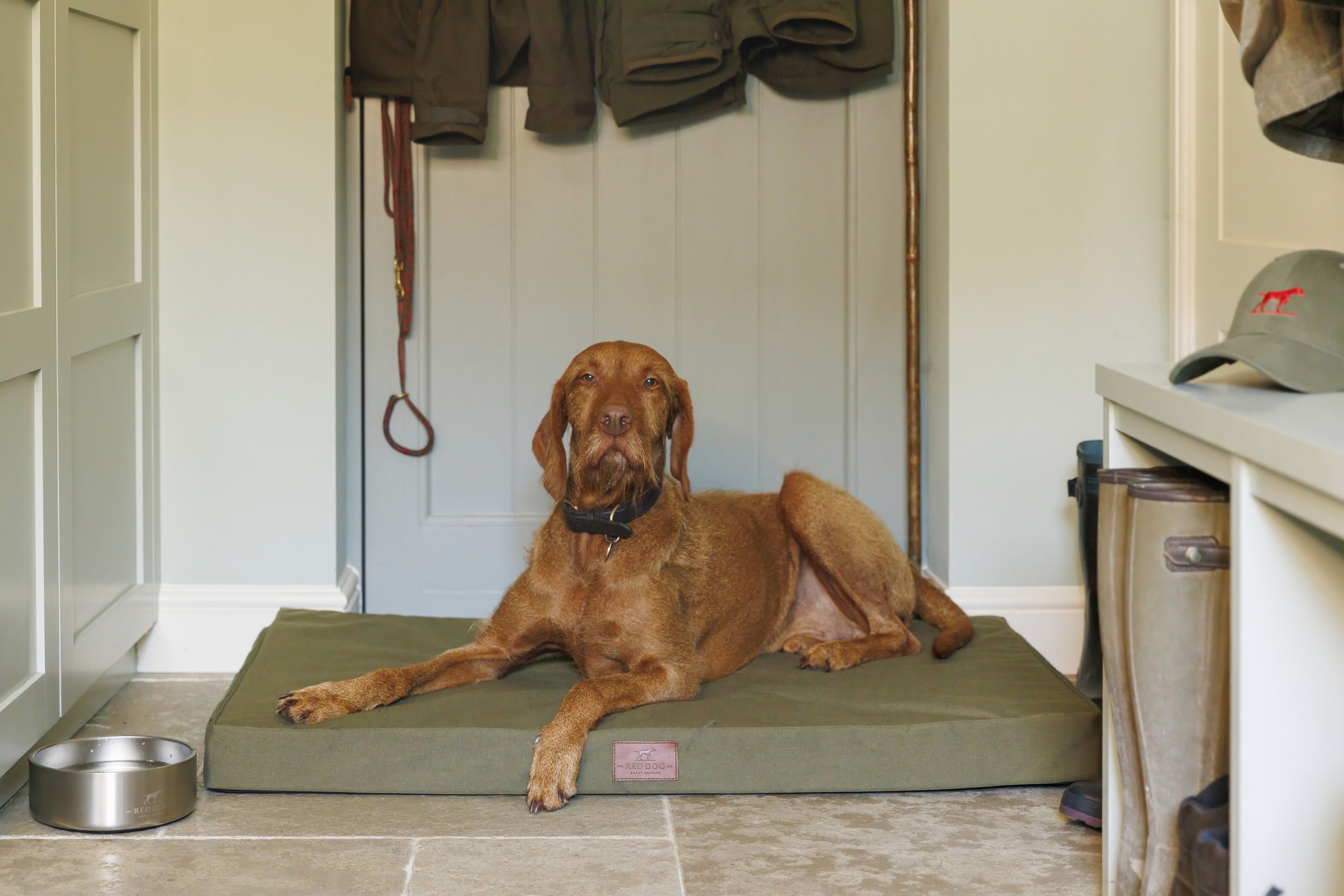 Working Dog Mat