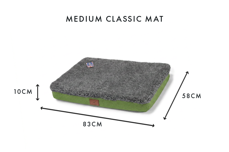 Apple Green Dog Mat