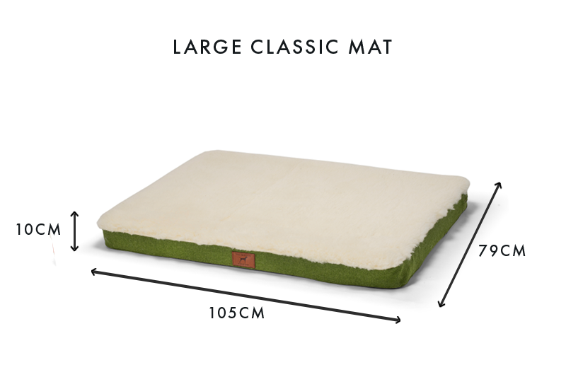 Apple Green Dog Mat