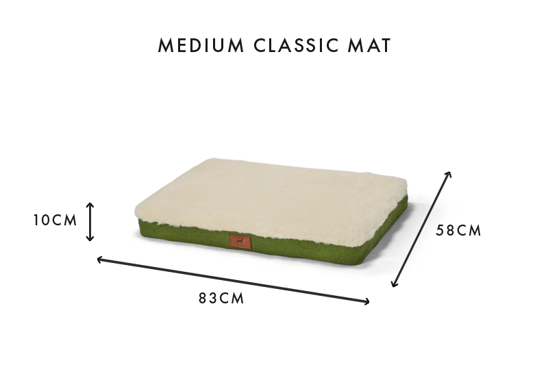 Apple Green Dog Mat