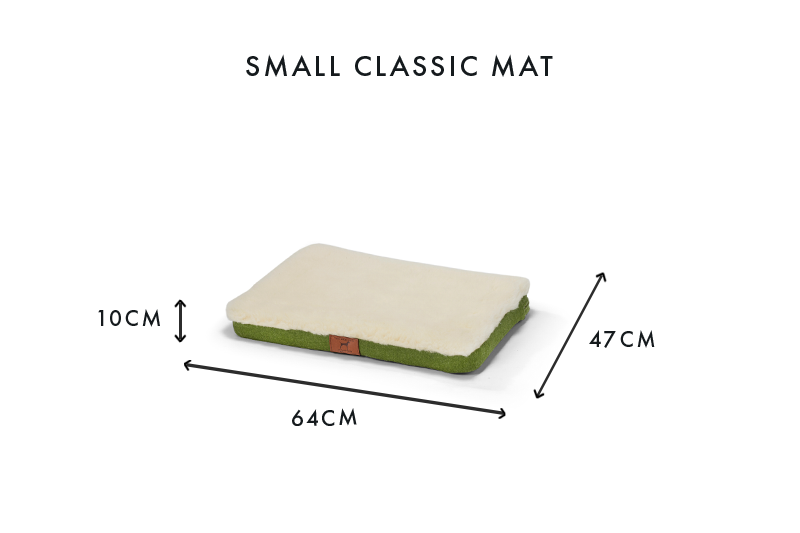 Apple Green Dog Mat