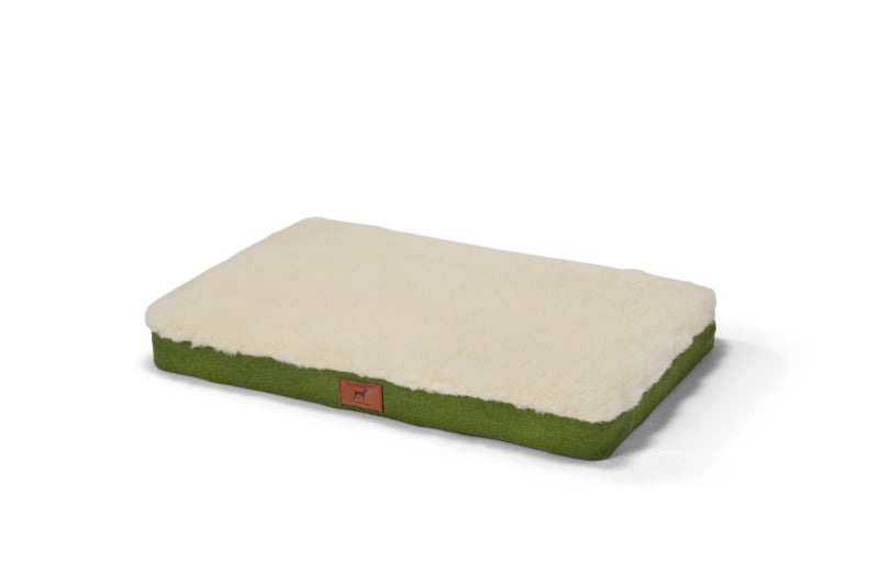 Apple Green Dog Mat