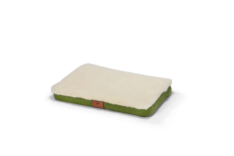 Apple Green Dog Mat