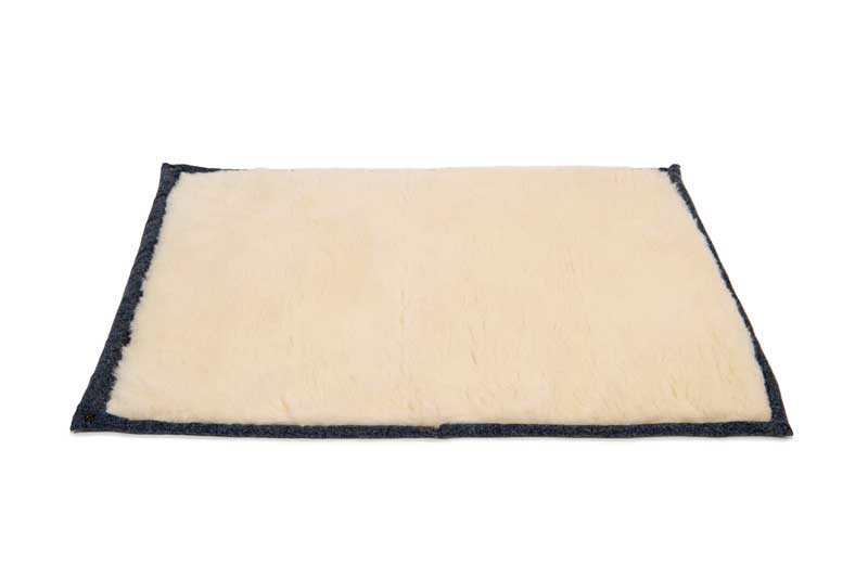 Cobalt Blue Dog Roll Mat