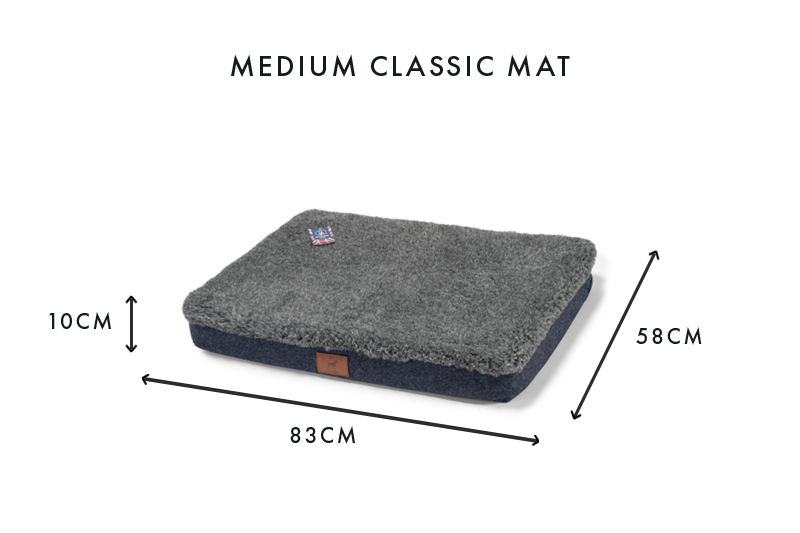 Cobalt Blue Dog Mat