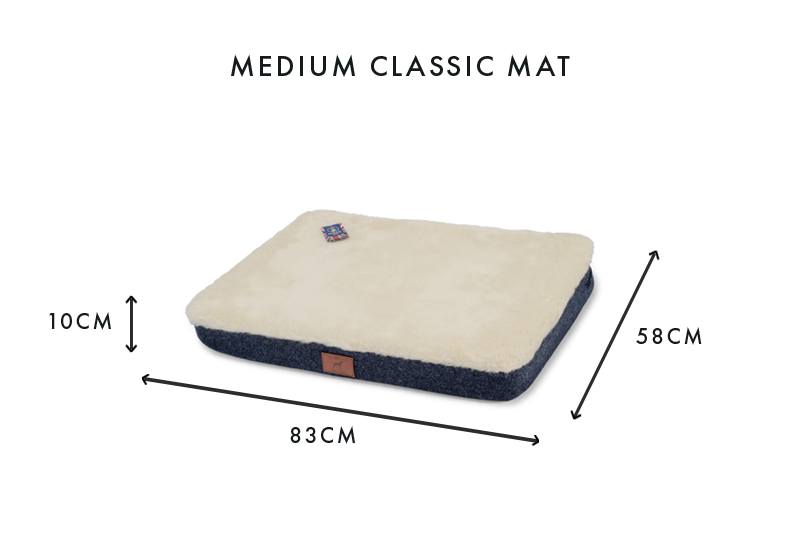 Cobalt Blue Dog Mat