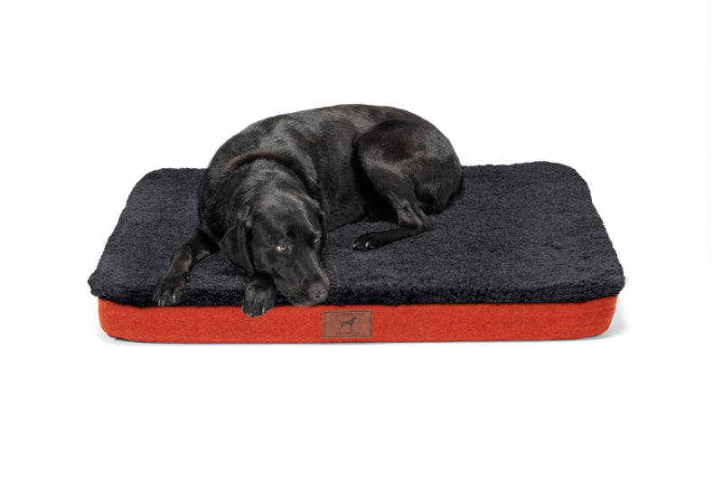 Fire Orange Dog Mat