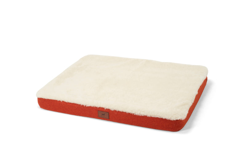 Fire Orange Dog Mat