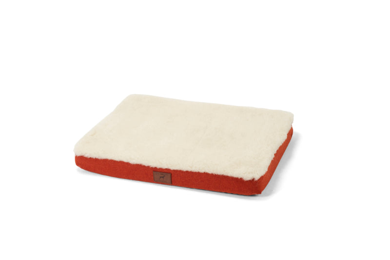 Fire Orange Dog Mat
