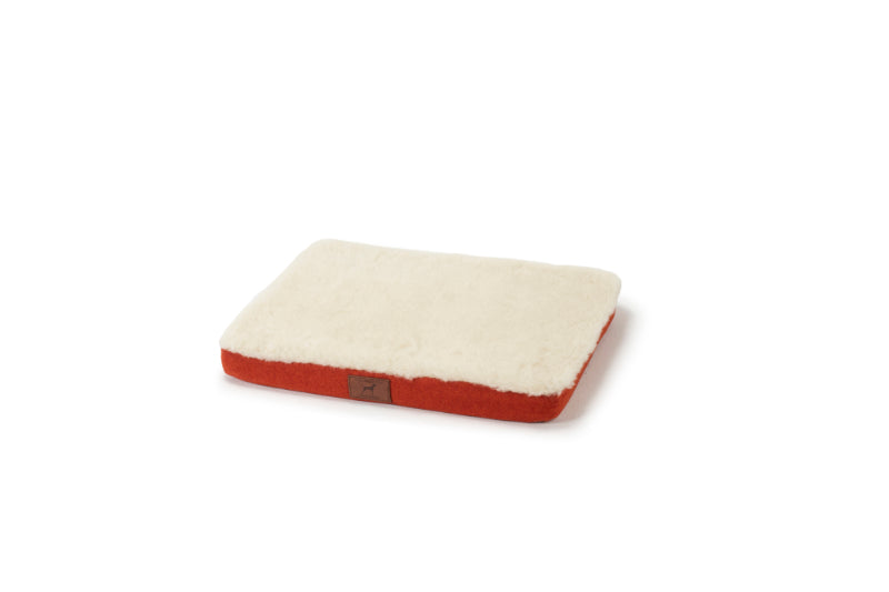 Fire Orange Dog Mat