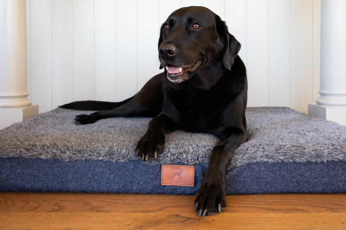 Labrador Dog Beds 100 British Made VetApproved