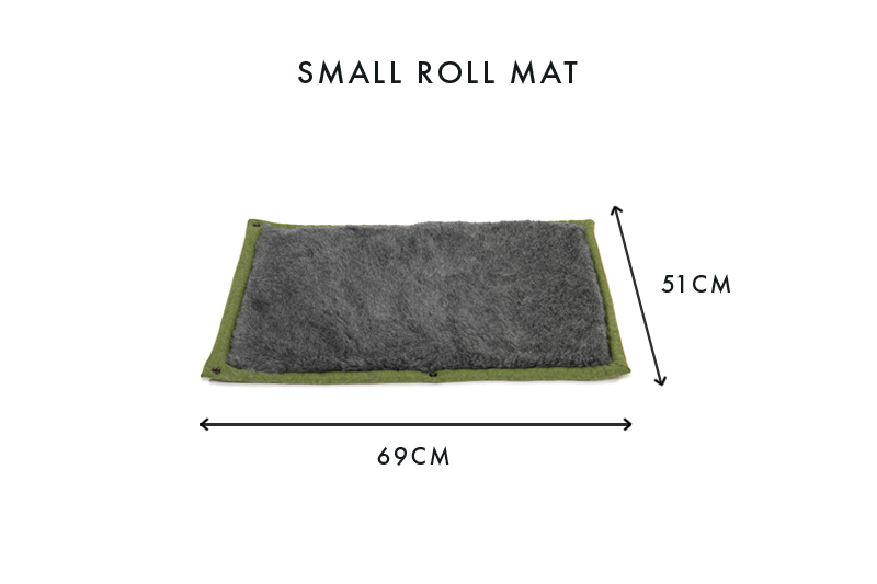 Apple Green Dog Roll Mat
