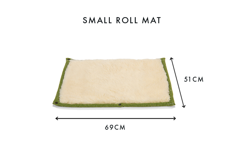 Apple Green Dog Roll Mat